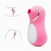 Intense Suction Clitoral Stimulator Female Massager Pink Estimulador Feminino De Seios E Clitóris 10 Velocidades vibradoras femininos